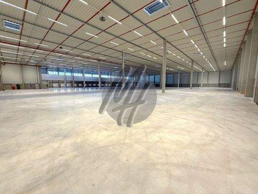 INFOS UNTER: 06171-586000