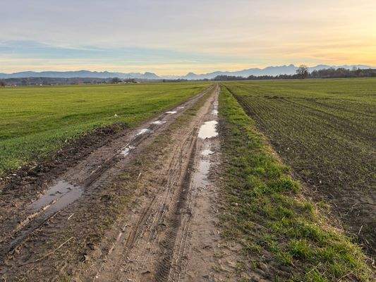 2025-11-12 15.55.22.jpg