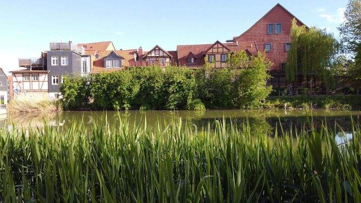 004020156800_302_189_26052021114527880