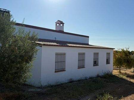 WhatsApp Bild 2025-08-30 um 10.57.12_8d2b43f3