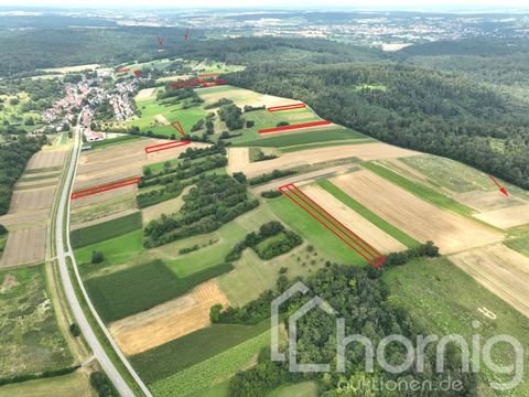 Bretten / Sprantal Bauernhöfe, Landwirtschaft, Bretten / Sprantal Forstwirtschaft