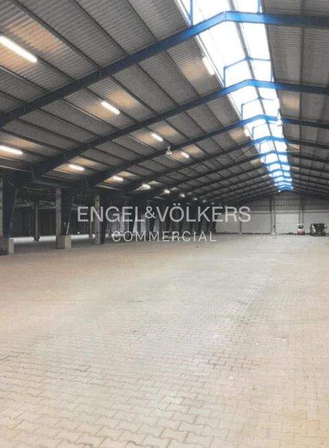 Oranienburg Halle, Oranienburg Hallenfläche