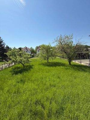 Bild4