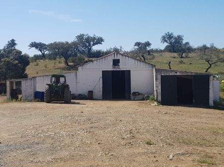 97a0b77c-796a-47ce-9d01-62085073b950