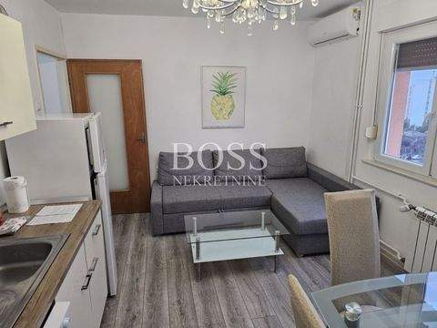 Rijeka Wohnungen, Rijeka Wohnung mieten