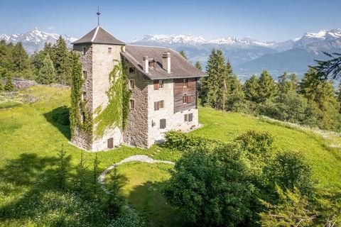 Hérens Häuser, Hérens Haus kaufen