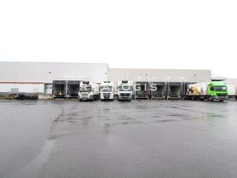 Rosbach vor der Höhe Halle, Rosbach vor der Höhe Hallenfläche