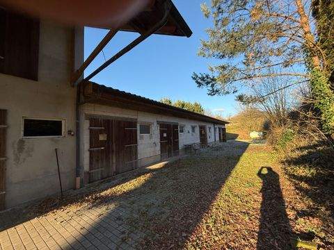 Burgpreppach Häuser, Burgpreppach Haus kaufen