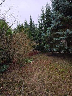 WhatsApp Image 2025-12-10 at 20.22.58 (1).jpeg