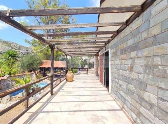 img_db9c5c2f-d9b2-43b1-a6f8-651e74cae451