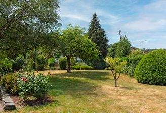 Garten 1