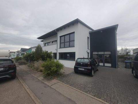 Altdorf Halle, Altdorf Hallenfläche