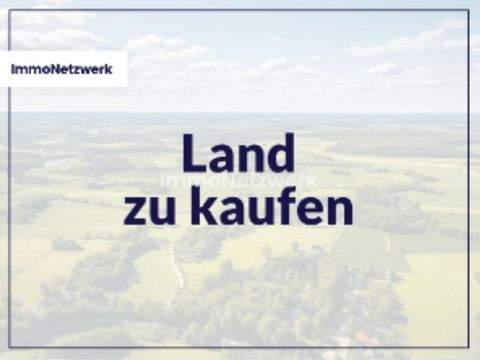 Steinau Bauernhöfe, Landwirtschaft, Steinau Forstwirtschaft