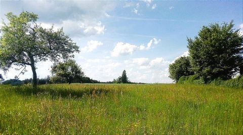 Hohenfels Grundstücke, Hohenfels Grundstück kaufen