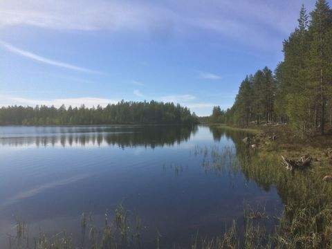 Gasa Slagnäs  Bauernhöfe, Landwirtschaft, Gasa Slagnäs  Forstwirtschaft