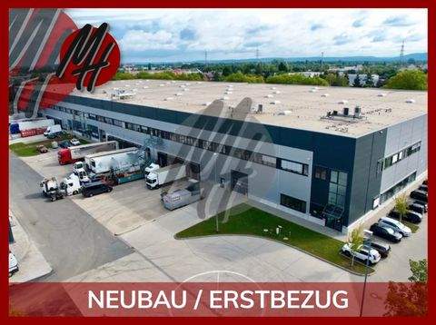 Oberhausen Halle, Oberhausen Hallenfläche