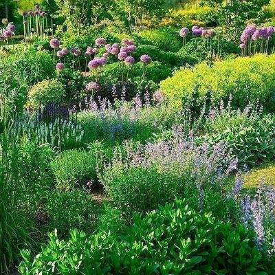 Es gibt nichts schöners 4.jpg