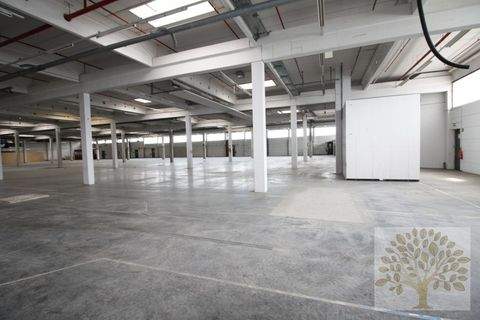 Viktring - Klagenfurt Halle, Viktring - Klagenfurt Hallenfläche