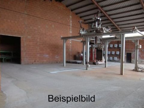Biburg Halle, Biburg Hallenfläche