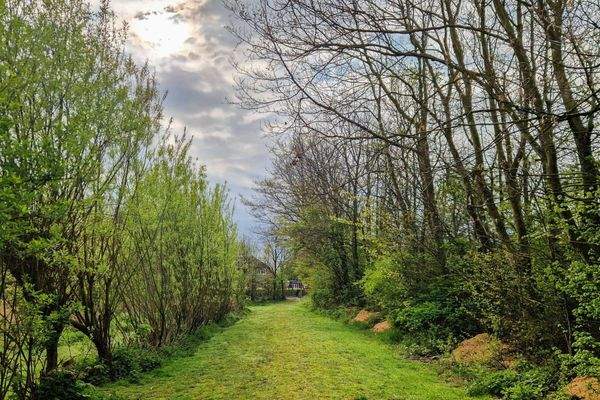 Weg zur Grünfläche