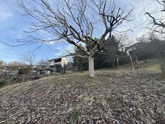 bergseitiges Grundstück