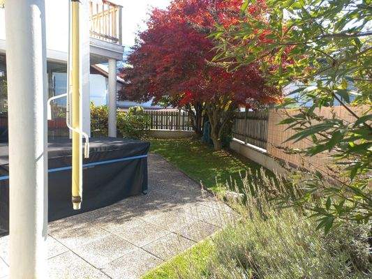 Blick in den Garten Richtung Süden