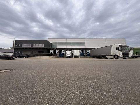 Lauchringen Halle, Lauchringen Hallenfläche