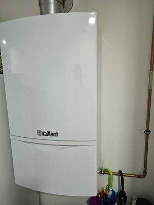 PHOTO-2026-01-22-13-07-23 9.jpg