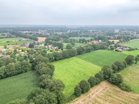 Emlichheim Bauernhöfe, Landwirtschaft, Emlichheim Forstwirtschaft