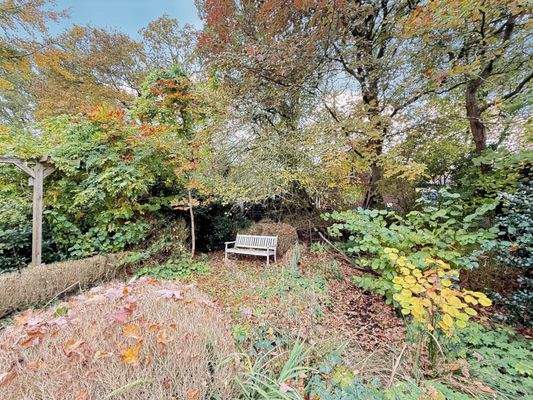 Naturgarten mit Potenzial