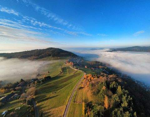 Bühlertal Häuser, Bühlertal Haus kaufen