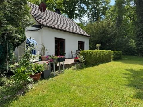 Brandis / Waldsteinberg Häuser, Brandis / Waldsteinberg Haus kaufen
