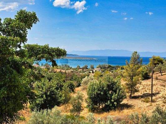 img_0371449c-1be7-48b4-b4a9-6dab39ed5b31