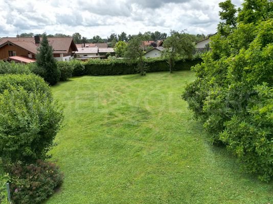 Blick in den Garten