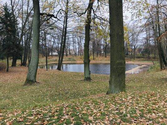 angrenzender Schlossteich