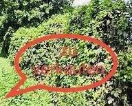 Alfeld Grundstücke, Alfeld Grundstück kaufen