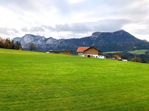 Mondsee Wohnungen, Mondsee Wohnung kaufen