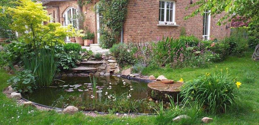 Blick über den Gartenteich