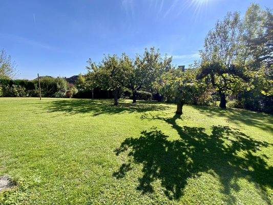 mit altem Baumbestand