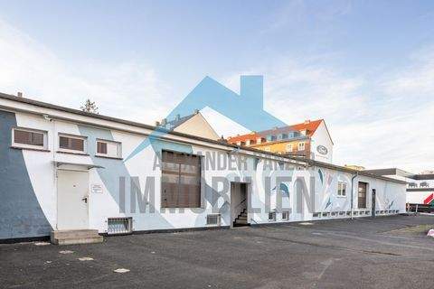 Kassel Halle, Kassel Hallenfläche