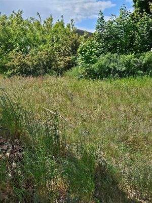 von der Wasserseite zur Freifläche