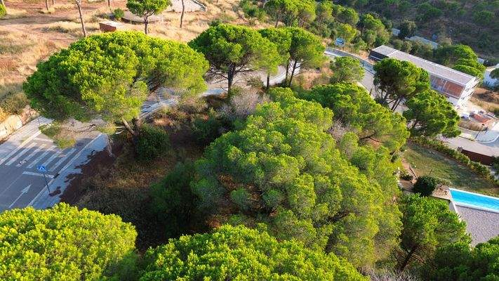 terreny llavaneres (3)