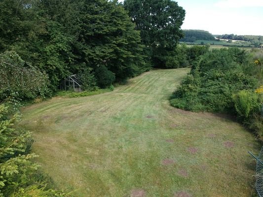 Garten / Potenzielles Baugrundstück