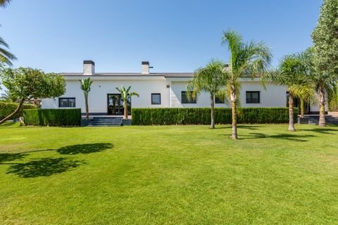 Elche/Elx Häuser, Elche/Elx Haus kaufen