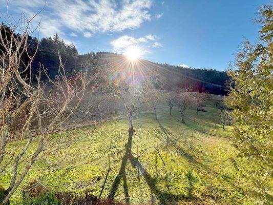 Ihr zusätzliches Flurstück