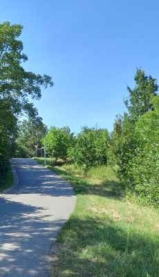 Blick vom unteren Grundstück zur Zeitzer Str.(B2)