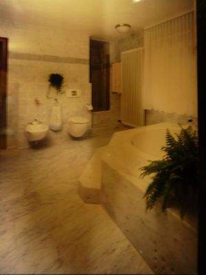 Bild 37 Bad,Dusche,WC,Bidet,Vogelaugenahorn Einbau