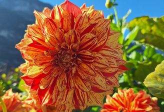 Foto Grundstück.jpg