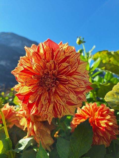 Vilshofen an der Donau Grundstücke, Vilshofen an der Donau Grundstück kaufen