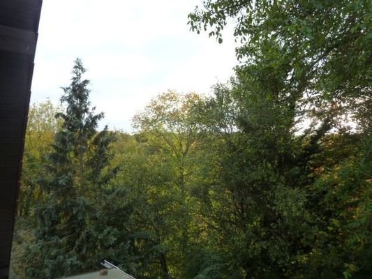 Fensterblick Süden